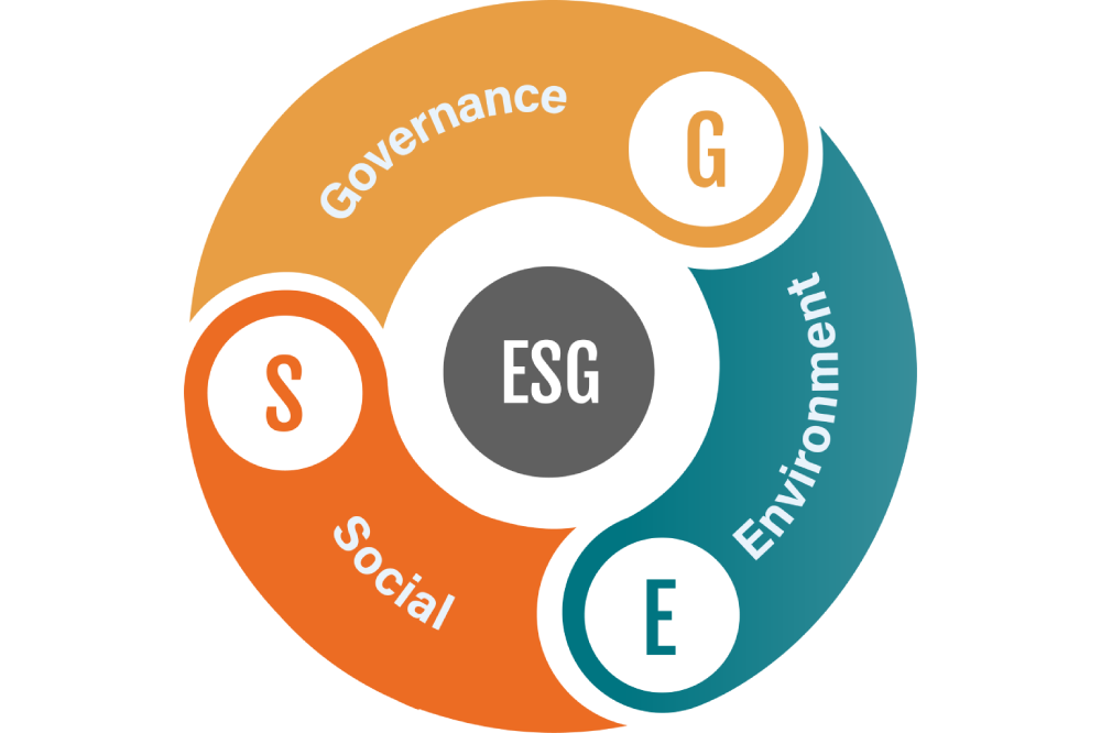 REPORT di SOSTENIBILITÁ